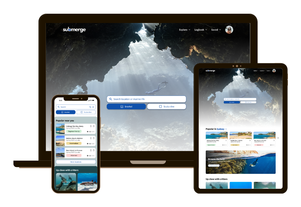 Responsive design — view 1