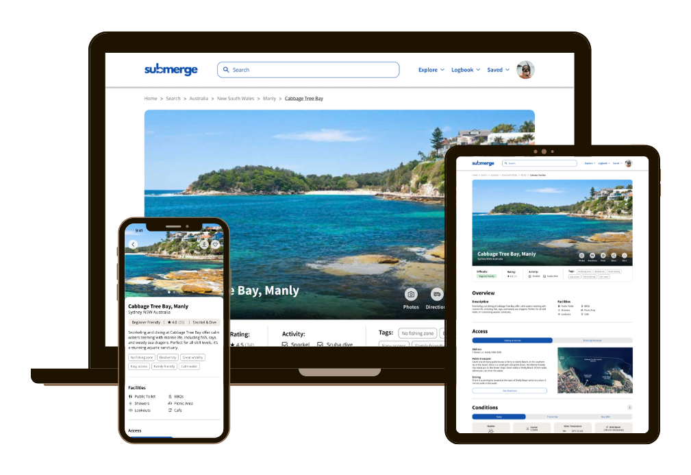 Responsive design — view 3